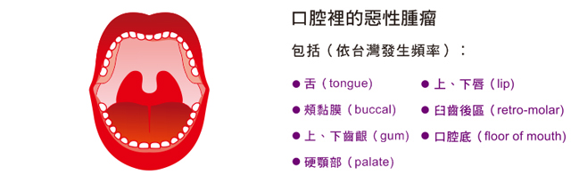 希望園區照片集錦